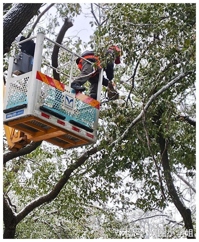 安博体育app下载园林部门上线余条城市主干道的断枝全部清障完毕安博体育官网(图2)